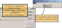 Realización de Copias